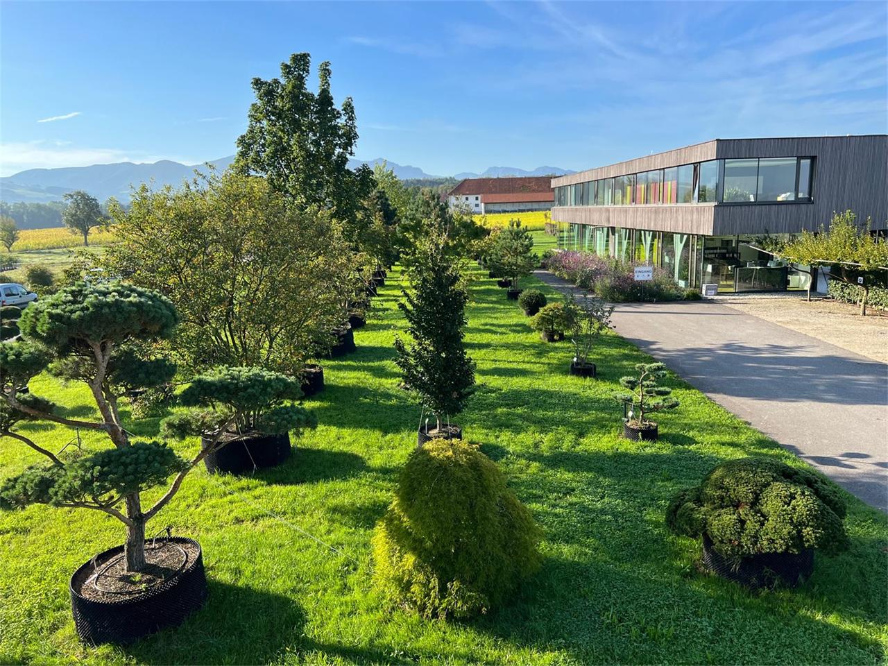 Betriebsgebäude der Baumschule Haselberger mit Pflanzenquartier im Vordergrund